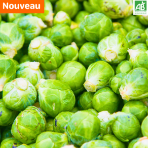 Choux de Bruxelles - les 500 gr