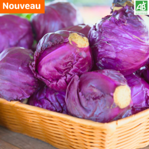 Chou rouge - la pièce