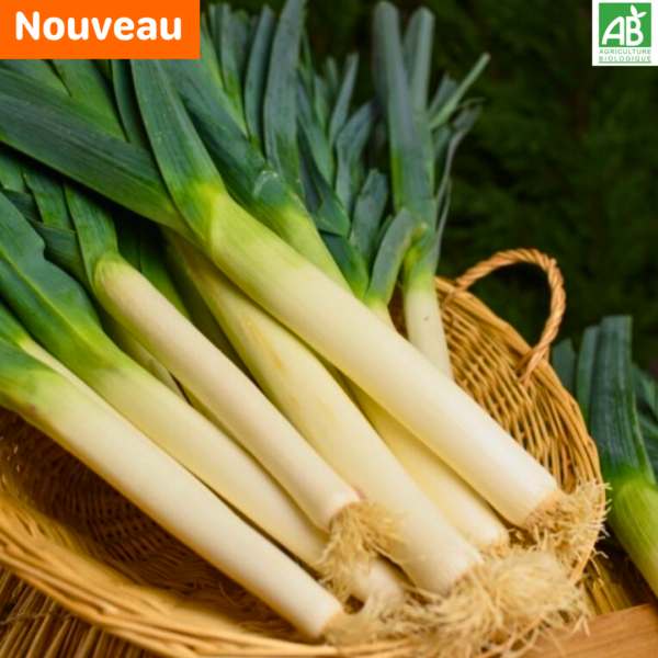 Poireaux - 500 gr