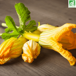 Fleurs de courgette - La barquette