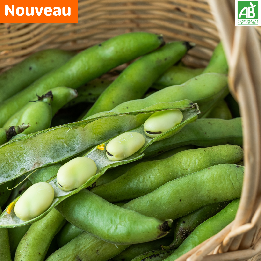 Févettes - les 500 gr