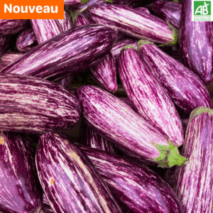 Aubergines - le kg
