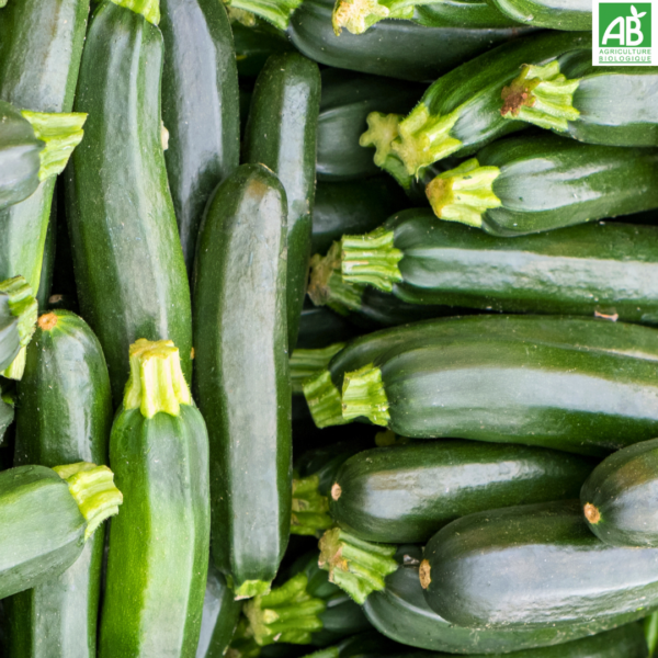 Courgettes - le kg – Image 3