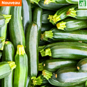 Courgettes - le kg