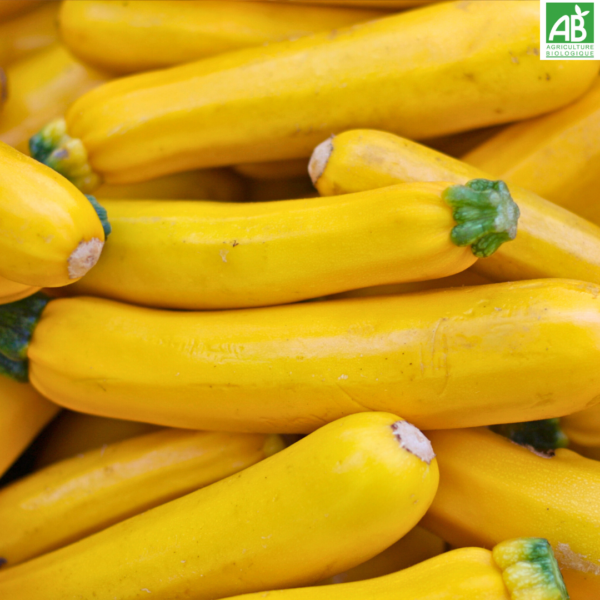 Courgettes - le kg – Image 4