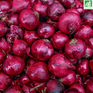 Oignons rouges - les 500 gr