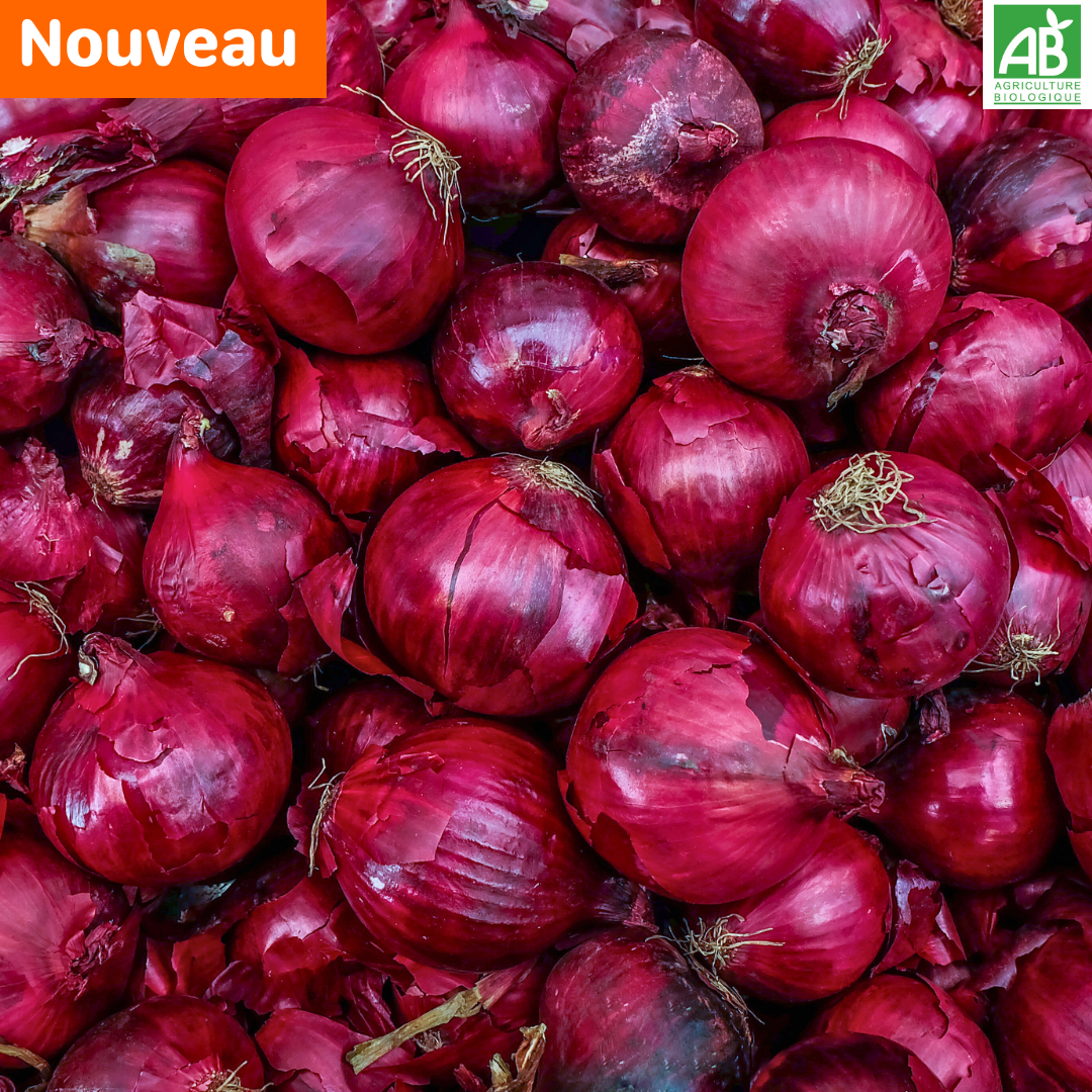 Oignons rouges - les 500 gr
