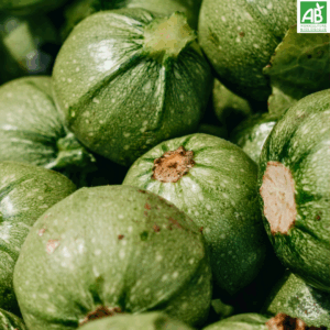 Courgettes rondes - le kg