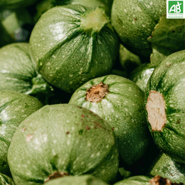 Courgettes rondes - le kg