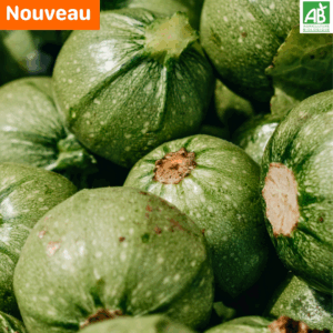 Courgettes rondes - le kg