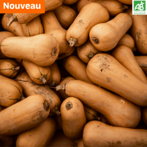 Butternut - La pièce