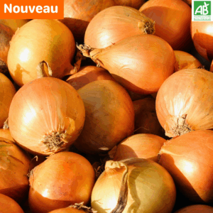Oignons jaune - les 500 gr