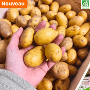 Pommes de terre Grenailles - le kg
