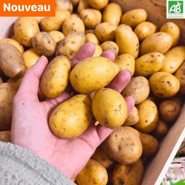 Pommes de terre Grenailles - le kg