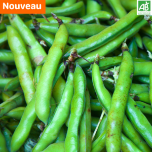 Fèves - les 500 gr