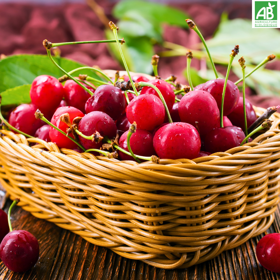 Cerises - la barquette de 250 gr