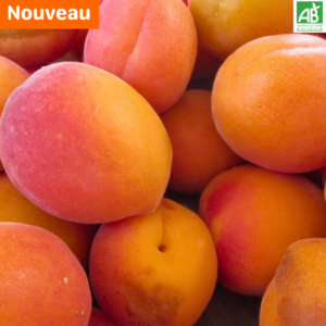 Abricots - les 500 gr