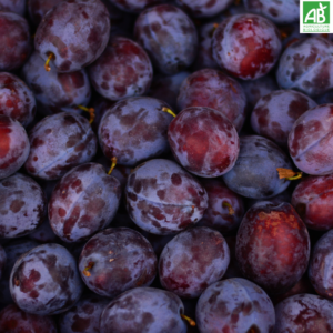 Prunes - les 500 gr