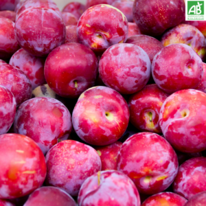 Prunes - les 500 gr