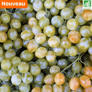 Raisins blancs - les 500 gr