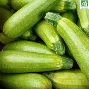 Courgettes - le kg