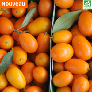 Kumquats - les 300 gr