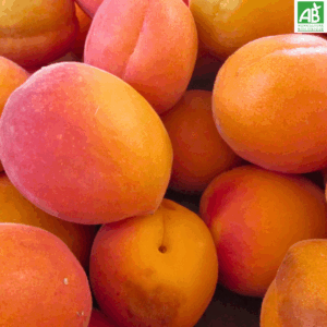 Abricots - les 500 gr