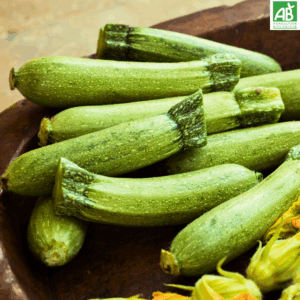 Courgettes - le kg