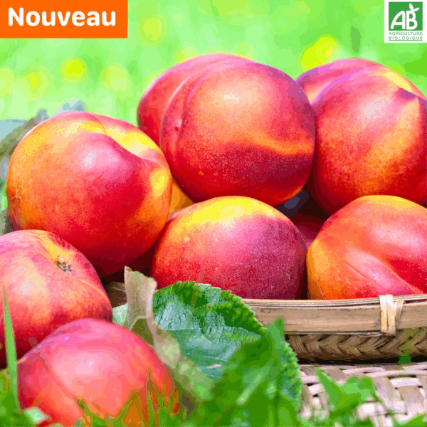 Nectarines - les 500 gr