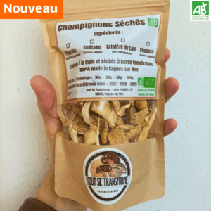 Pleurotes séchées - 30 gr
