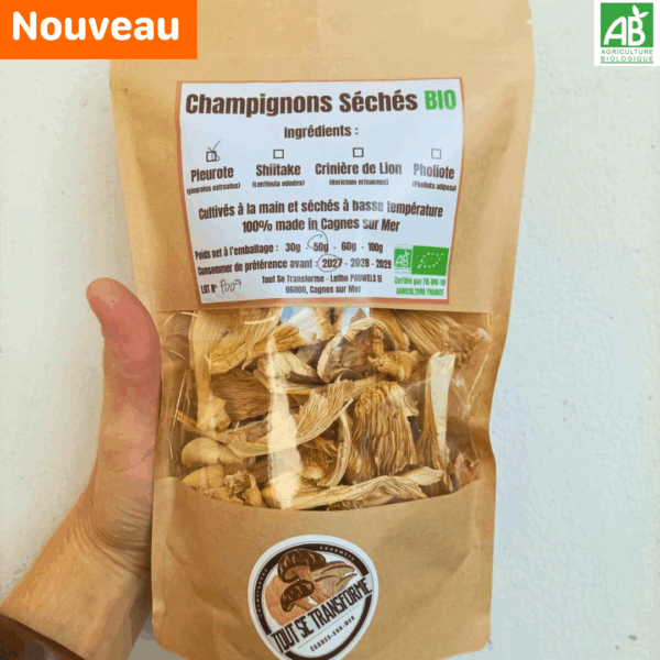 Pleurotes séchées - 50 gr