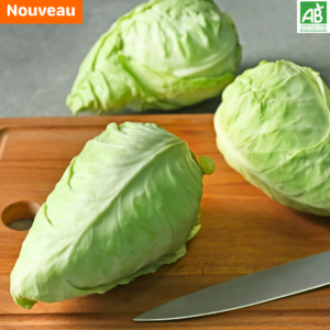 Chou pointu- La pièce