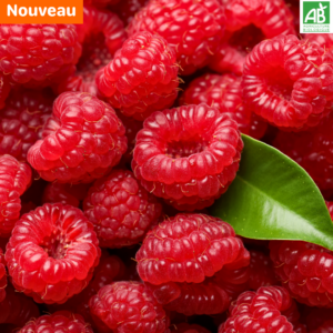 Framboises - la barquette de 125 gr