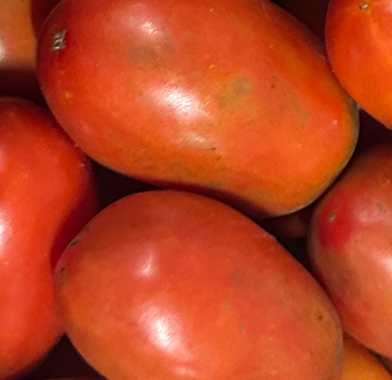 Tomates - le kg