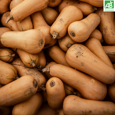 Butternut Butternut