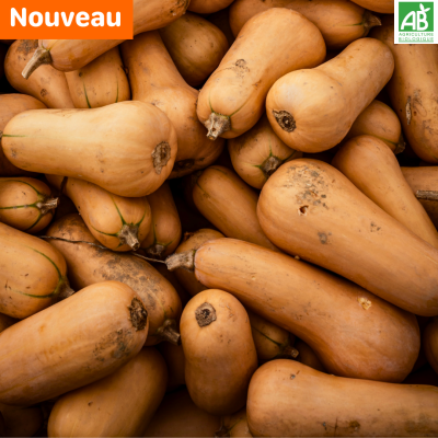 Butternut.new