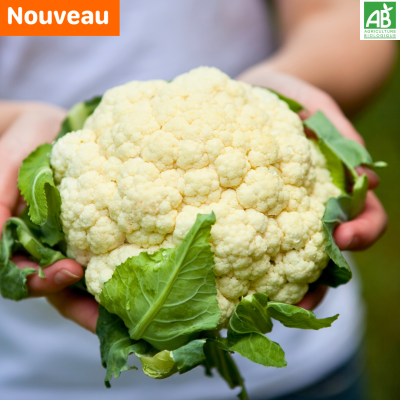 Chou fleur.new Chou fleur.new