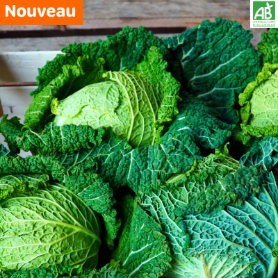 Chou frisé.new Chou frisé.new