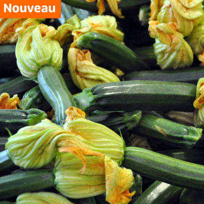 Courgette.new Courgette.new