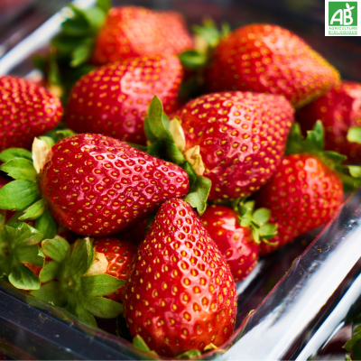 Fraise Fraise
