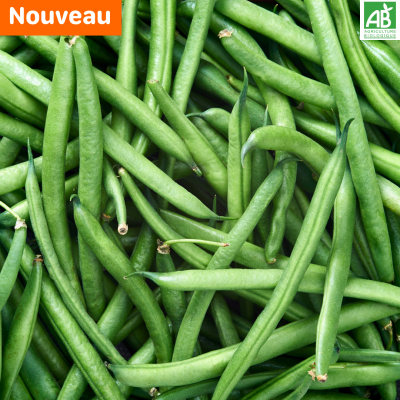 Haricot vert.new Haricot vert.new