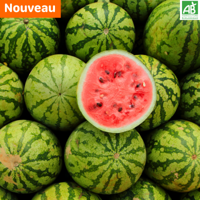 Pastèque.new Pastèque.new