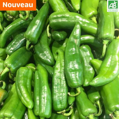 Poivrons.new