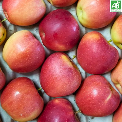 Pomme Pomme